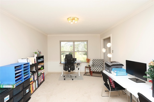 carpeted office featuring crown molding