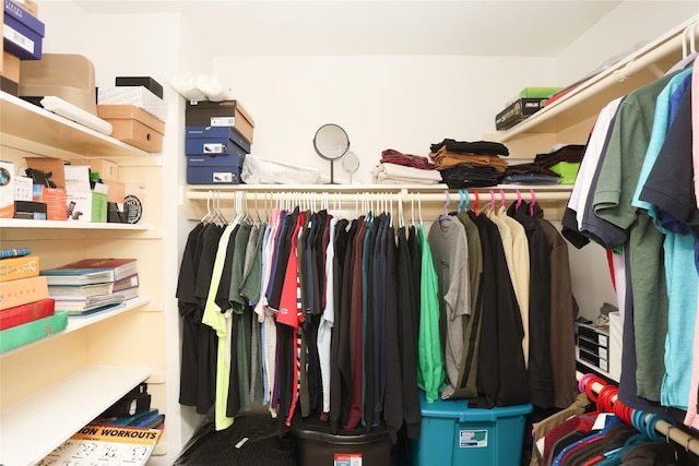 view of walk in closet