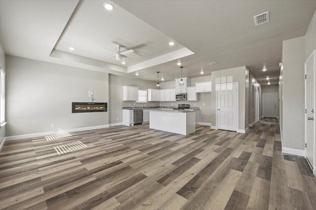 kitchen featuring white cabinetry, a tray ceiling, stainless steel appliances, and a kitchen island