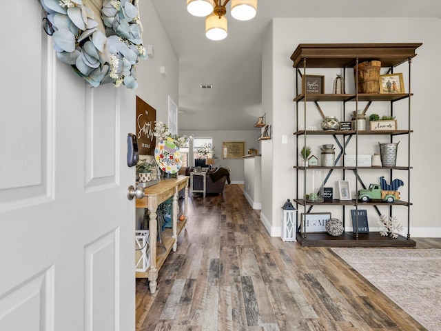 entryway featuring wood-type flooring