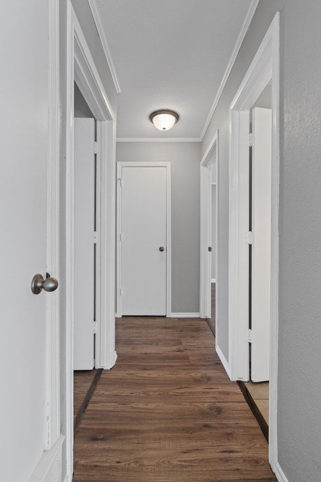 hallway with dark hardwood / wood-style flooring and crown molding