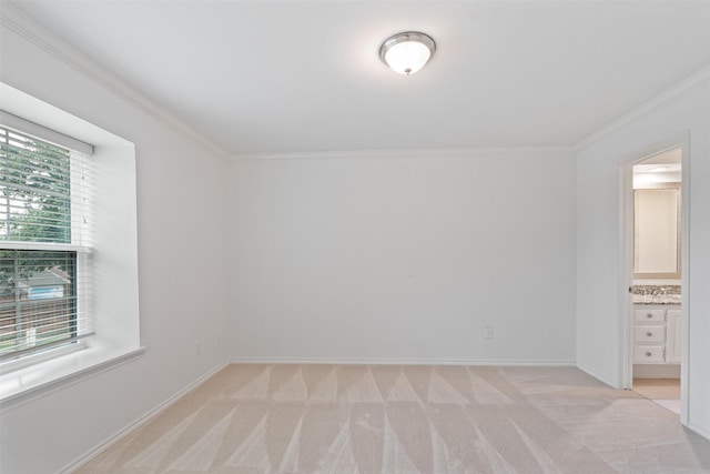 carpeted spare room with ornamental molding and a healthy amount of sunlight