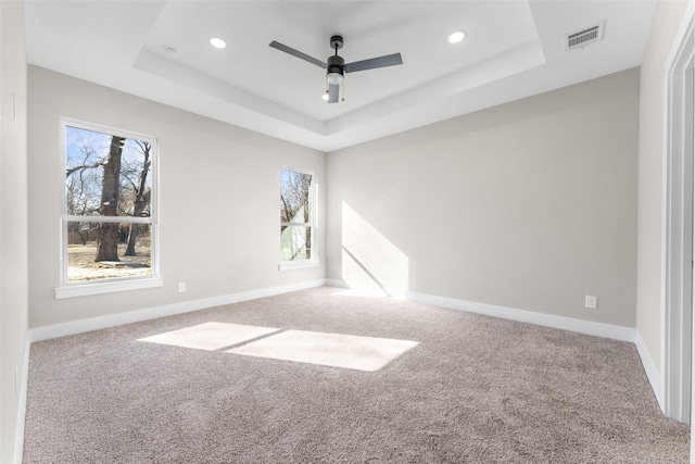 empty room with carpet floors, a raised ceiling, and a healthy amount of sunlight