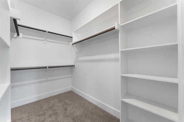 spacious closet featuring carpet flooring