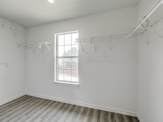 spacious closet featuring hardwood / wood-style floors