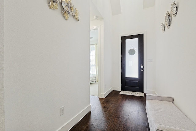 entryway featuring dark hardwood / wood-style flooring