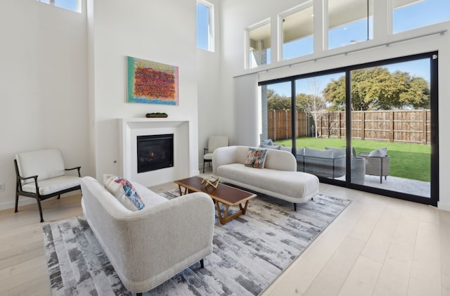 living room featuring hardwood / wood-style floors and a high ceiling