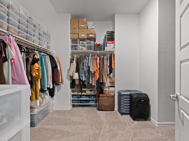 walk in closet featuring carpet