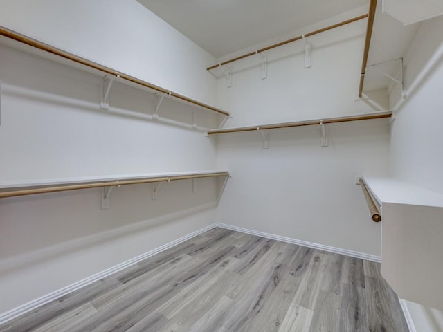 walk in closet featuring light hardwood / wood-style floors