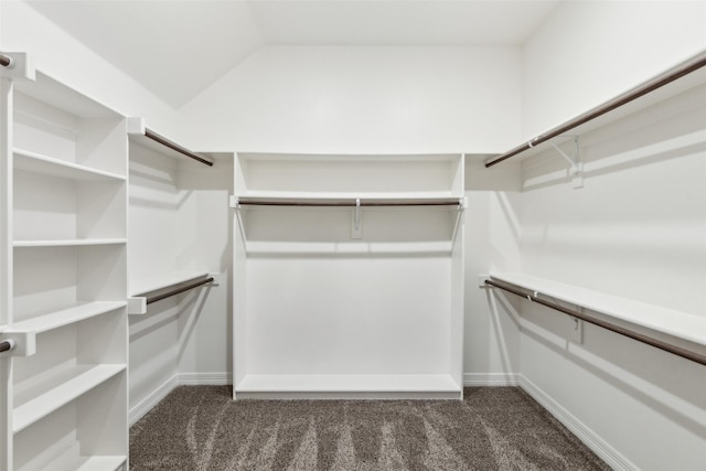 spacious closet with dark colored carpet