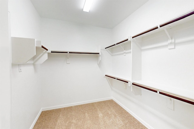 5208 Greenbrook Rd, Denton, TX 76226 - spacious closet with light carpet