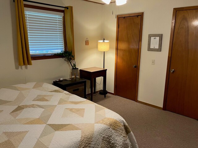 bedroom with carpet flooring