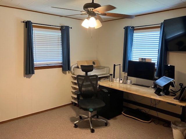 carpeted office with ornamental molding and ceiling fan