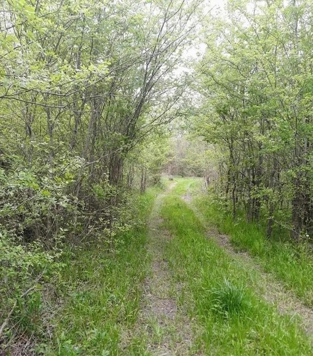 view of landscape