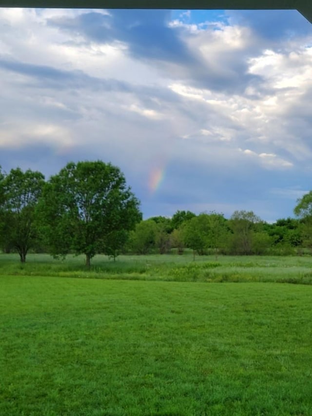 view of yard featuring a rural view