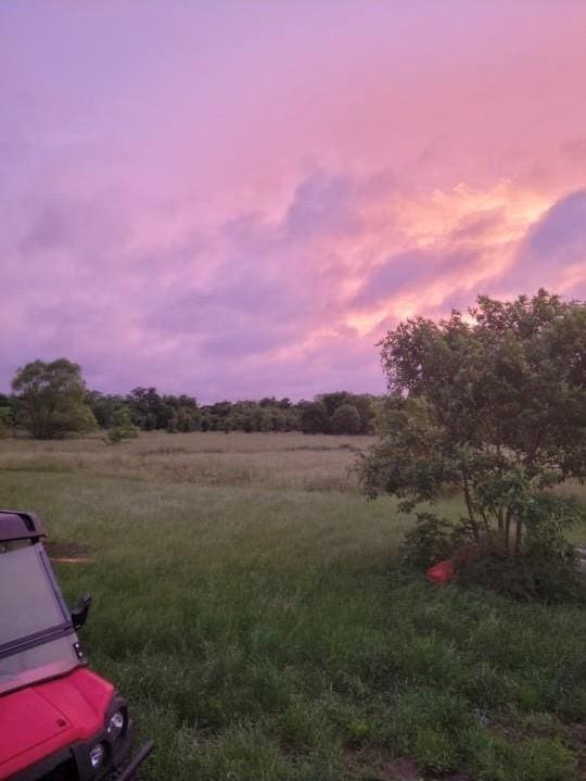 yard at dusk with a rural view