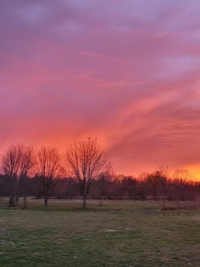 view of yard at dusk