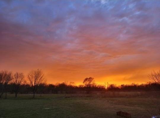 view of nature at dusk