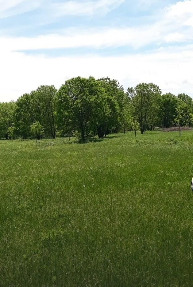 view of local wilderness with a rural view