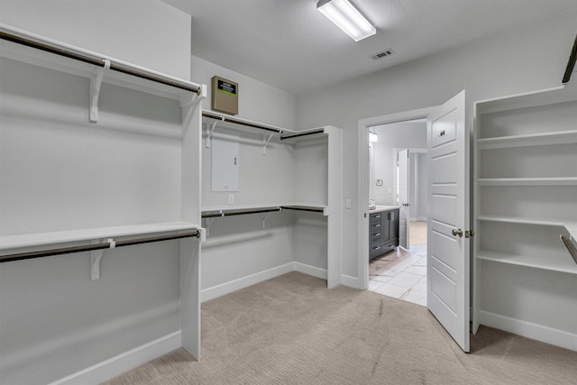 spacious closet with light colored carpet