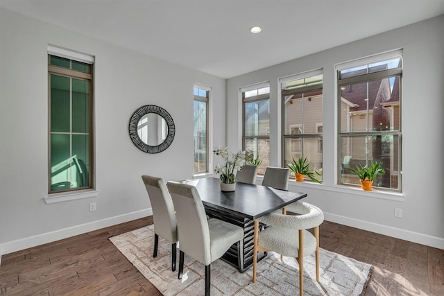 dining room featuring hardwood / wood-style floors