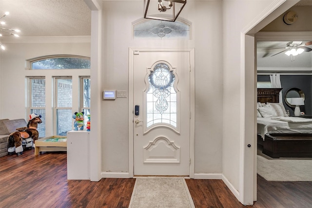 foyer entrance featuring a healthy amount of sunlight, dark wood-type flooring, and a textured ceiling