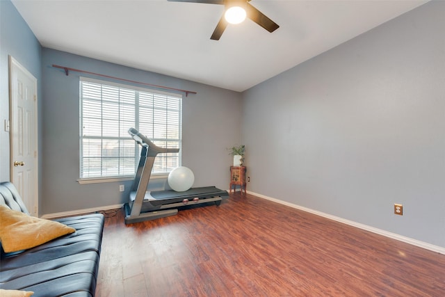 workout room with ceiling fan and hardwood / wood-style floors