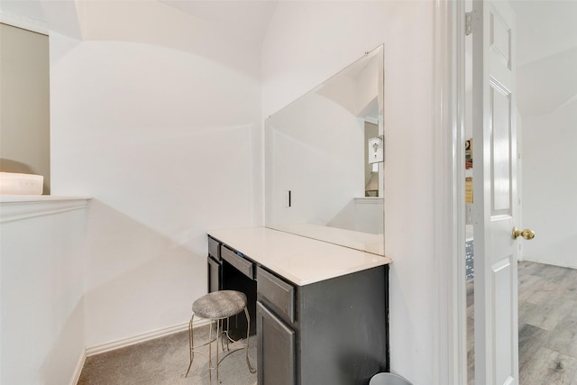 bathroom featuring wood-type flooring