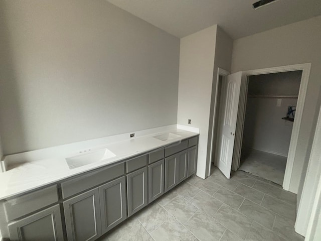 bathroom featuring a spacious closet and a sink