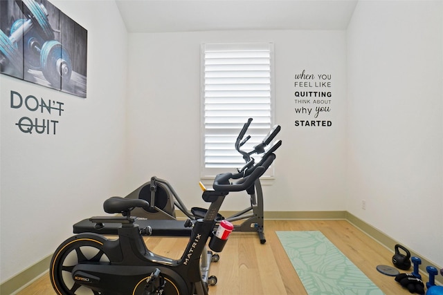 exercise area featuring wood-type flooring