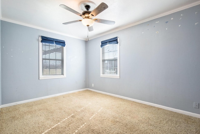 spare room with crown molding, carpet, and ceiling fan