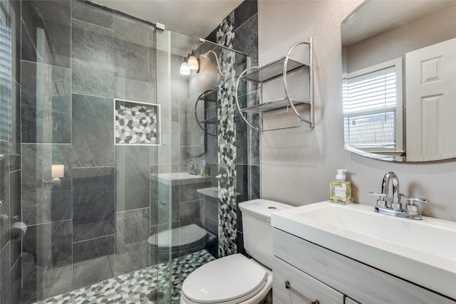 bathroom featuring vanity, toilet, and an enclosed shower