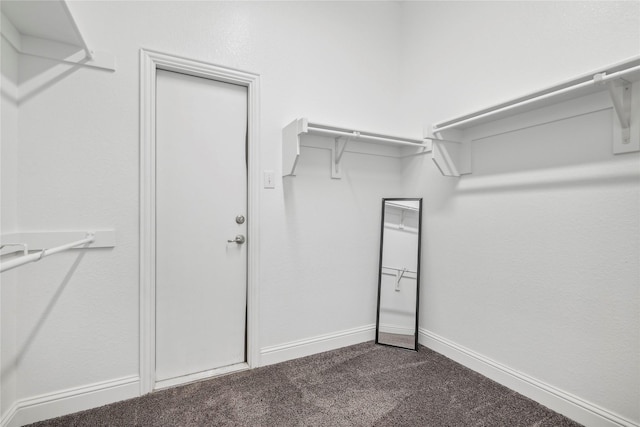 spacious closet featuring dark colored carpet