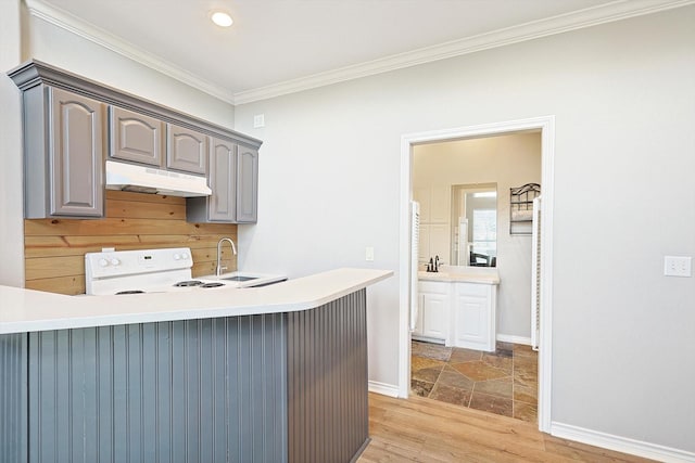 kitchen featuring under cabinet range hood, electric range, a sink, ornamental molding, and light wood-type flooring