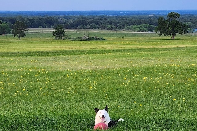 exterior space with a rural view