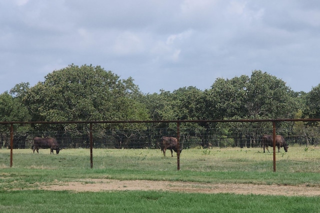 view of yard featuring a rural view