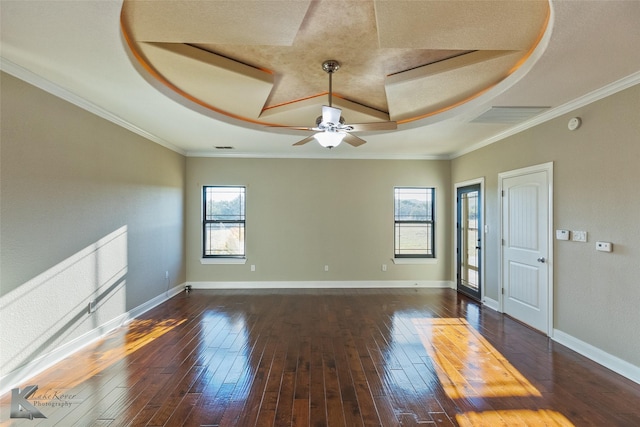 spare room with a raised ceiling, crown molding, and a healthy amount of sunlight