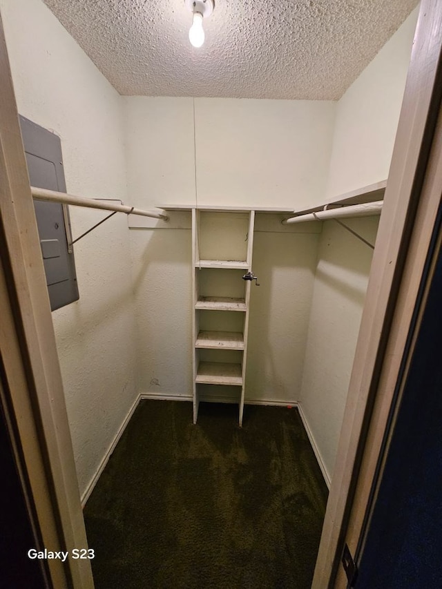 spacious closet with dark colored carpet