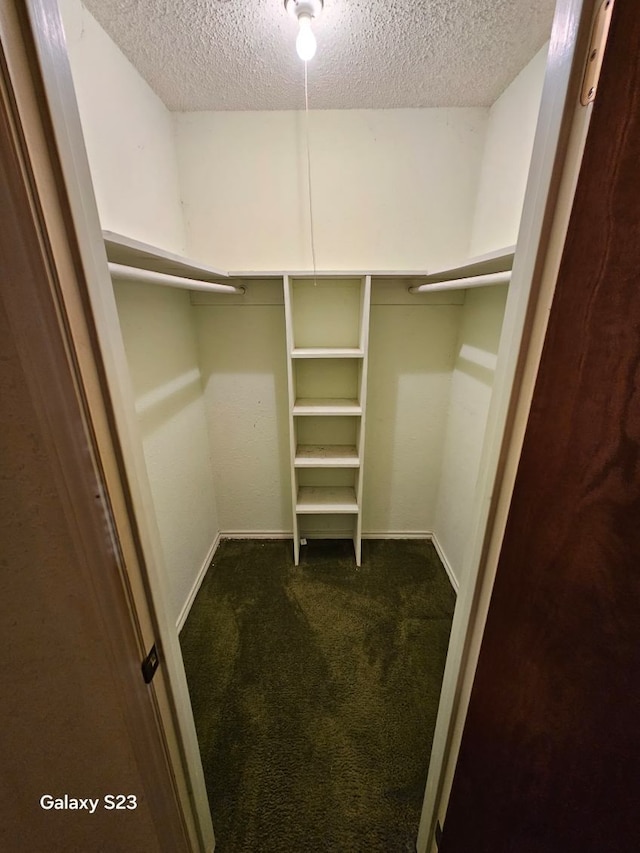 walk in closet with carpet