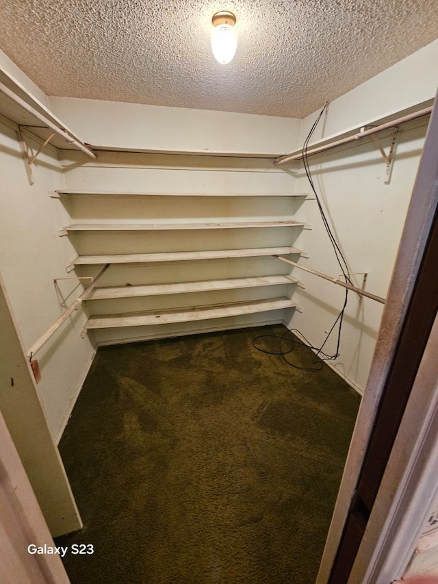 spacious closet with carpet flooring