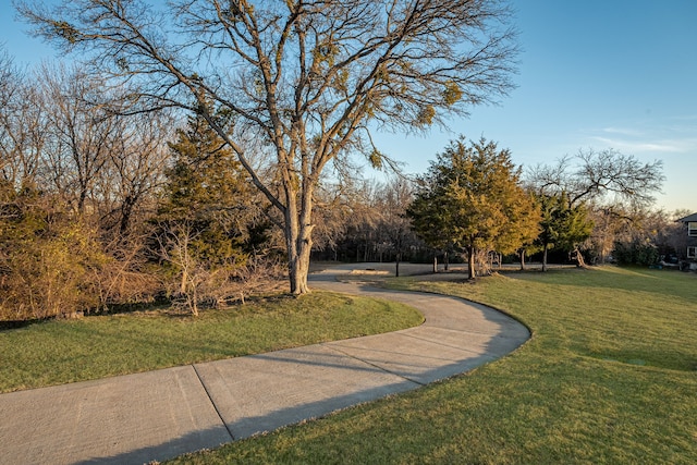 view of home's community with a yard