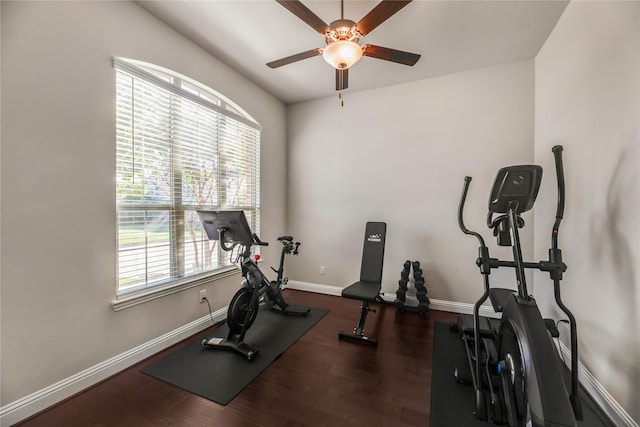 exercise room with plenty of natural light, dark wood-type flooring, and ceiling fan