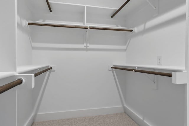 spacious closet with carpet floors