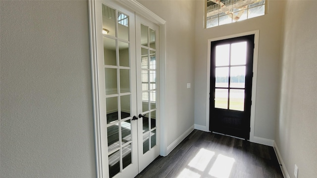 doorway to outside with dark hardwood / wood-style flooring and french doors