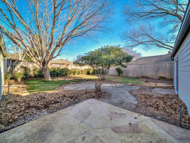 view of yard featuring a patio