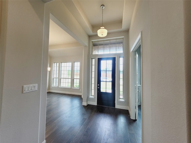 foyer featuring a raised ceiling and dark wood-type flooring