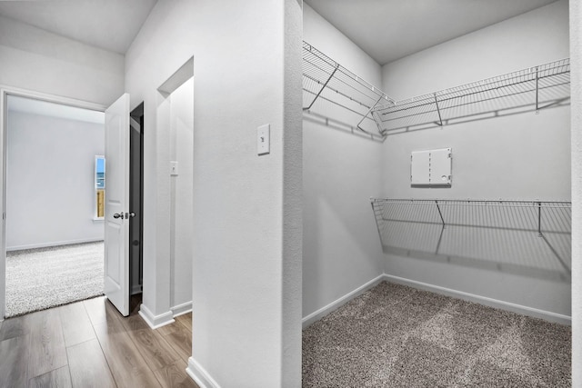 walk in closet with wood-type flooring