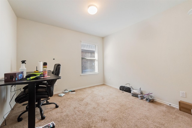 office area featuring carpet flooring