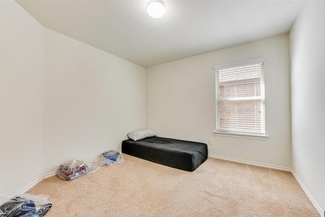 bedroom with carpet flooring