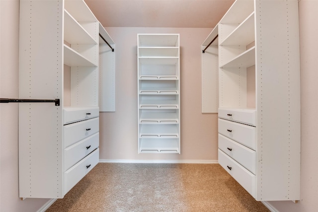 walk in closet featuring light carpet